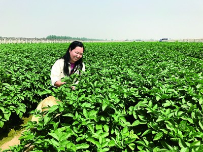 点击浏览下一张